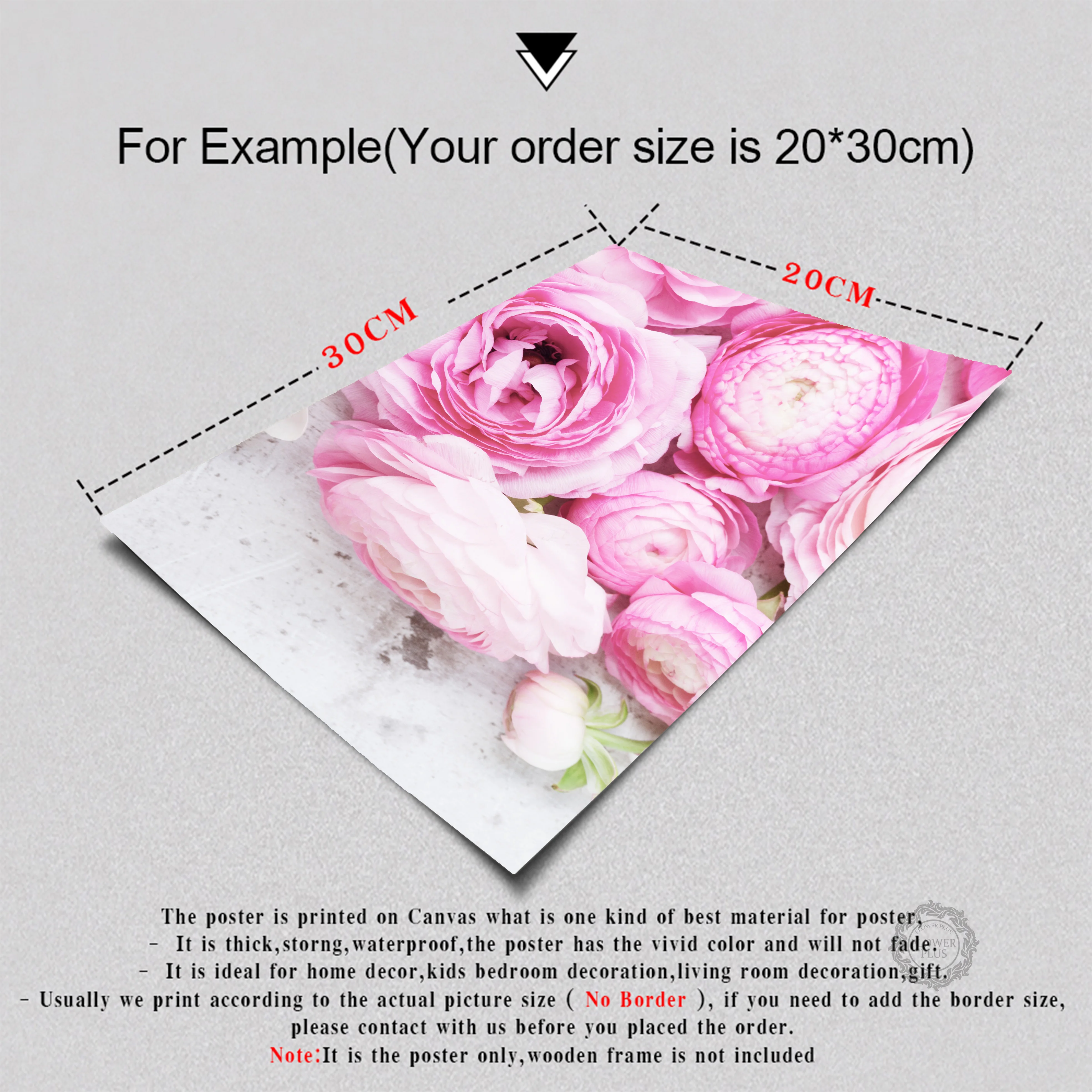 Cuadros Decoracion Salon Abstract Pink Peony Posters and Prints Wall Art Canvas Painting Flowers Wall Pictures For Living Room
Cuadros Decoracion Salon Abstract Pink Peony Posters and Prints Wall Art Canvas Painting Flowers Wall Pictures For Living Room