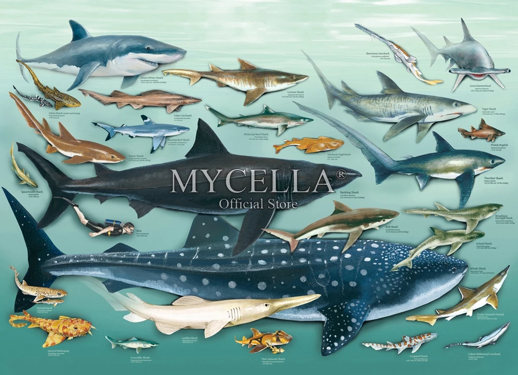 5d Diy Diamond Painting Full Cross Stitch Diamond Mosaic Sharks Sea Life Animals Diamond Embroidery Home Decor Christmas gifts
5d Diy Diamond Painting Full Cross Stitch Diamond Mosaic Sharks Sea Life Animals Diamond Embroidery Home Decor Christmas gifts