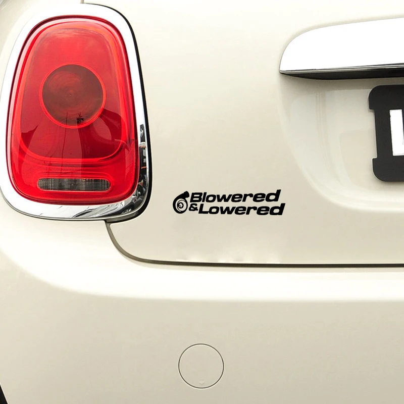 YJZT 16.7CM*3.7CM For Blowered & Lowered Vinyl High-quality Decor Car Sticker Decal Black Silver C11-1520
YJZT 16.7CM*3.7CM For Blowered & Lowered Vinyl High-quality Decor Car Sticker Decal Black Silver C11-1520