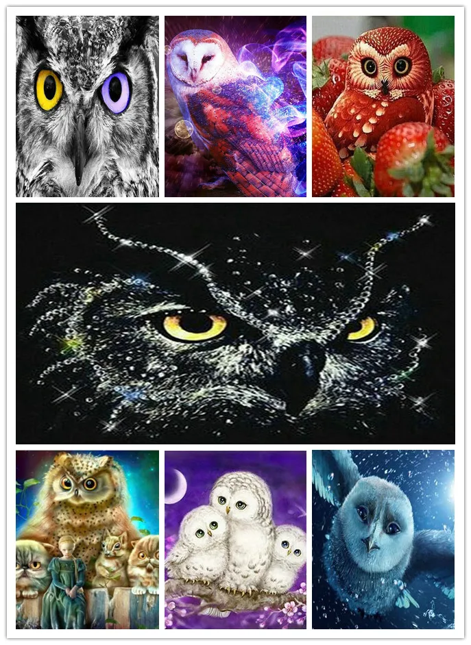 New 5D DIY Diamond Painting Owl Icon Full Square Drill Resin Diamond Mosaic Crafts Home Decor Eagle animal
New 5D DIY Diamond Painting Owl Icon Full Square Drill Resin Diamond Mosaic Crafts Home Decor Eagle animal