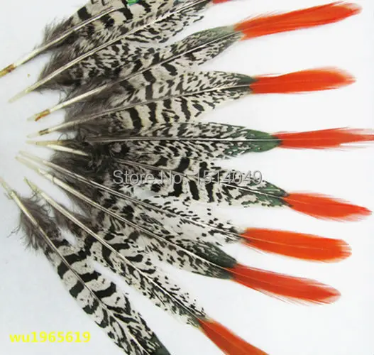 Free shipping wholesale 100pcs high quality natural cover chicken feather 20-25cm / 8-10inch variety of decorative and collect
Free shipping wholesale 100pcs high quality natural cover chicken feather 20-25cm / 8-10inch variety of decorative and collect