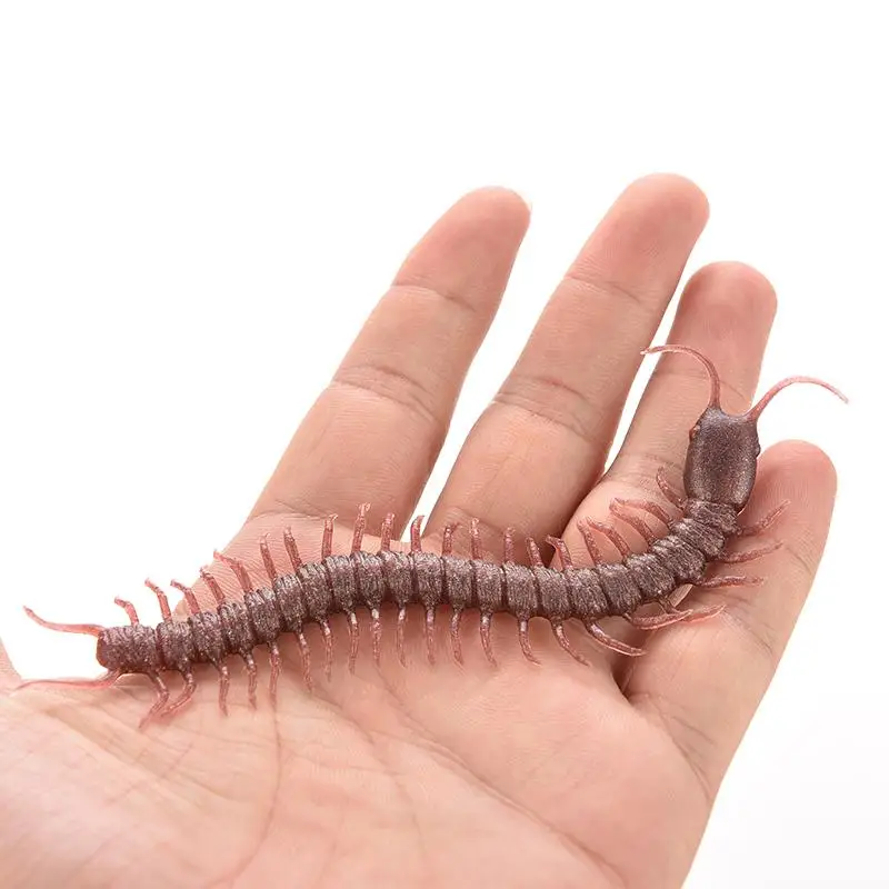 1Pcs Simulation Centipede Soft Rubber Halloween For Party Haunted House Funny Spoof Toy Fun Toys
1Pcs Simulation Centipede Soft Rubber Halloween For Party Haunted House Funny Spoof Toy Fun Toys