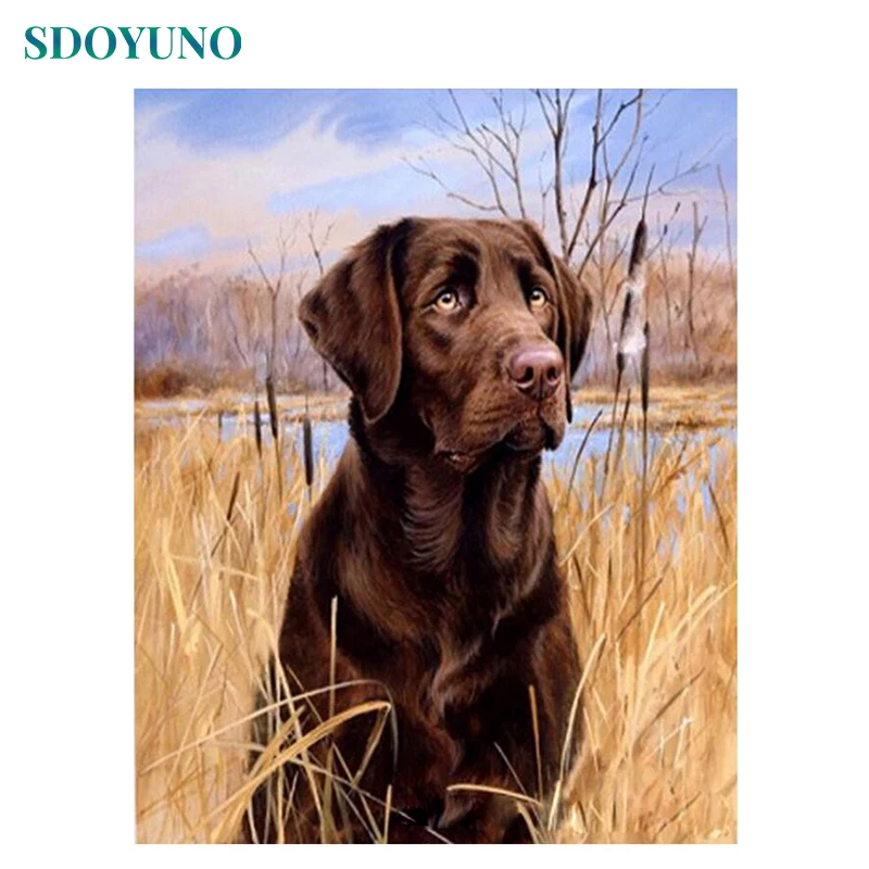 SDOYUNO Frame DIY Painting By Numbers Kit Dog Animals Acrylic Paint On Canvas Hand Painted Oil Paintings For Living Room Wall
SDOYUNO Frame DIY Painting By Numbers Kit Dog Animals Acrylic Paint On Canvas Hand Painted Oil Paintings For Living Room Wall