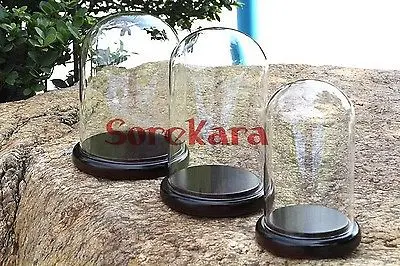 Стеклянная купольная баночка-колокольчик, 60 х8 мм, с темным деревянным основанием, для лабораторного использования
Стеклянная купольная баночка-колокольчик, 60 х8 мм, с темным деревянным основанием, для лабораторного использования