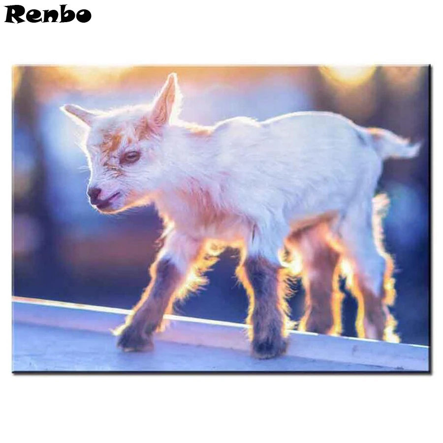 DIY 5D Diamond Painting Animal Goat Rhinestones Pictures Mosaic Kit Hobbies And Crafts Square/Round Diamond Embroidery Sheep
DIY 5D Diamond Painting Animal Goat Rhinestones Pictures Mosaic Kit Hobbies And Crafts Square/Round Diamond Embroidery Sheep