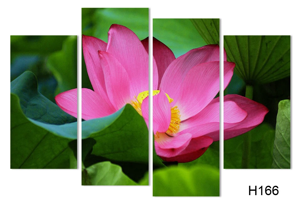 vintage home decor cuadros decoracion picture wall pictures for living room painting flower Lotus Print On Canvas (no Frames)
vintage home decor cuadros decoracion picture wall pictures for living room painting flower Lotus Print On Canvas (no Frames)