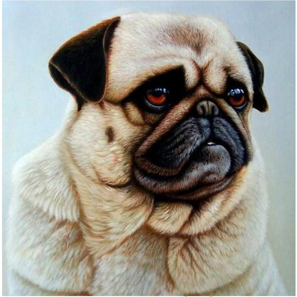 Diamond Embroidery Pet Dog 5D DIY Diamond Painting Cross Stitch Square/round Diamond Sets Decorative Wedding Decoration
Diamond Embroidery Pet Dog 5D DIY Diamond Painting Cross Stitch Square/round Diamond Sets Decorative Wedding Decoration