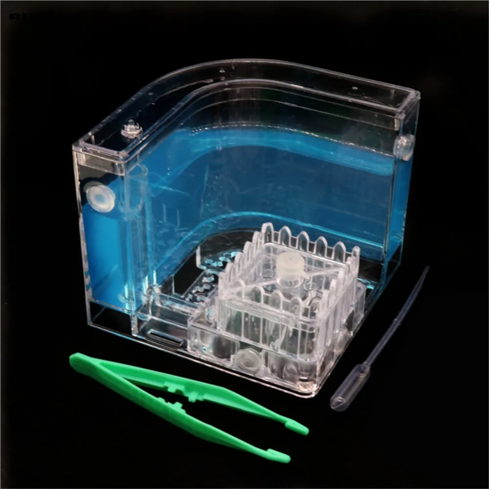 Home Garden Pet Products Small Animals Cages Ant Villa Blue Plastic Material Regular Box Ant Toys Ant Farming Ants Nest
Home Garden Pet Products Small Animals Cages Ant Villa Blue Plastic Material Regular Box Ant Toys Ant Farming Ants Nest