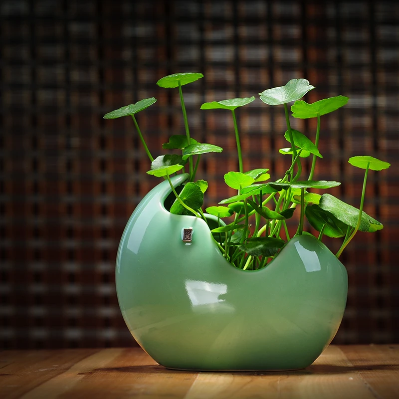 2018 New Flower Pot Ceramic Ball Vase Terrarium Wall Fish Tank Aquarium Container Homw Decor
2018 New Flower Pot Ceramic Ball Vase Terrarium Wall Fish Tank Aquarium Container Homw Decor