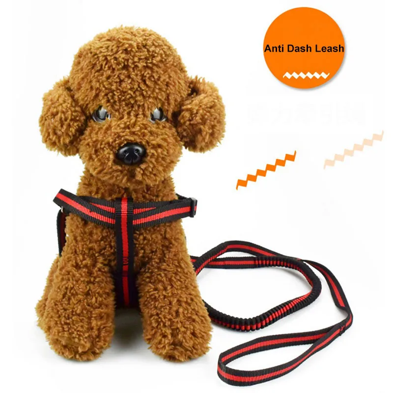 190cm Elastic Dog Leash Pet Cat Puppy Anti Dash Pull Dog Lead Leash Retractable Leash For Rabbit Hamster Small Pets
190cm Elastic Dog Leash Pet Cat Puppy Anti Dash Pull Dog Lead Leash Retractable Leash For Rabbit Hamster Small Pets