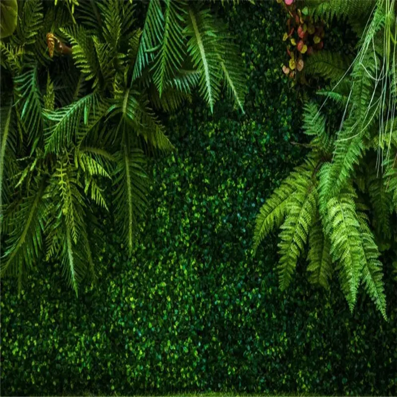 Tropical Rainforest Leaves Green TV Background Professional Production Mural Custom Photo Wallpaper
Tropical Rainforest Leaves Green TV Background Professional Production Mural Custom Photo Wallpaper