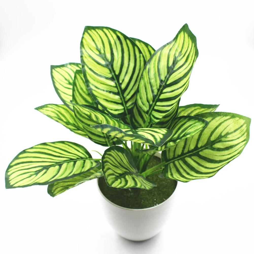 Simulation Green Fern grass plant artificial fern persian leaves flower wall hanging plants home wedding shop decoration
Simulation Green Fern grass plant artificial fern persian leaves flower wall hanging plants home wedding shop decoration