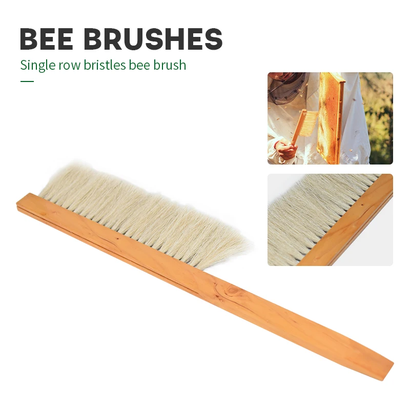 Beekeeping Tools Wood Bee Sweep Brush Single row bristles bee brush New Bee Brushes Beekeeping Equipment for Apiculture
Beekeeping Tools Wood Bee Sweep Brush Single row bristles bee brush New Bee Brushes Beekeeping Equipment for Apiculture