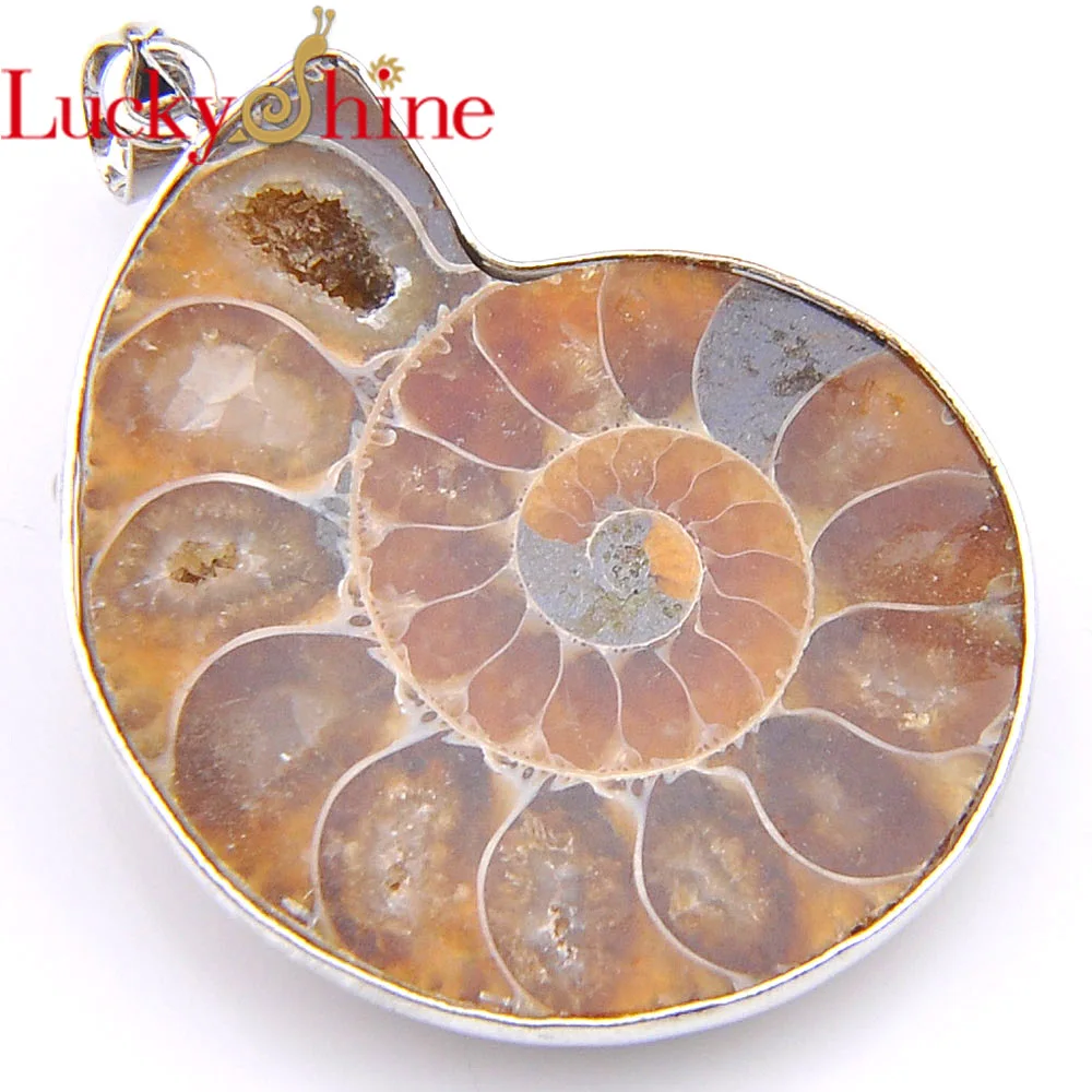Luckyshine Suerb Fire Natural Ammonite Fossil Morganite Gems Silver Plated Pendants for Necklace
Luckyshine Suerb Fire Natural Ammonite Fossil Morganite Gems Silver Plated Pendants for Necklace