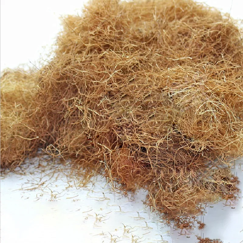 50G Military handmake scene model material wilderness ruins weed simulation grass hay grass roots
50G Military handmake scene model material wilderness ruins weed simulation grass hay grass roots