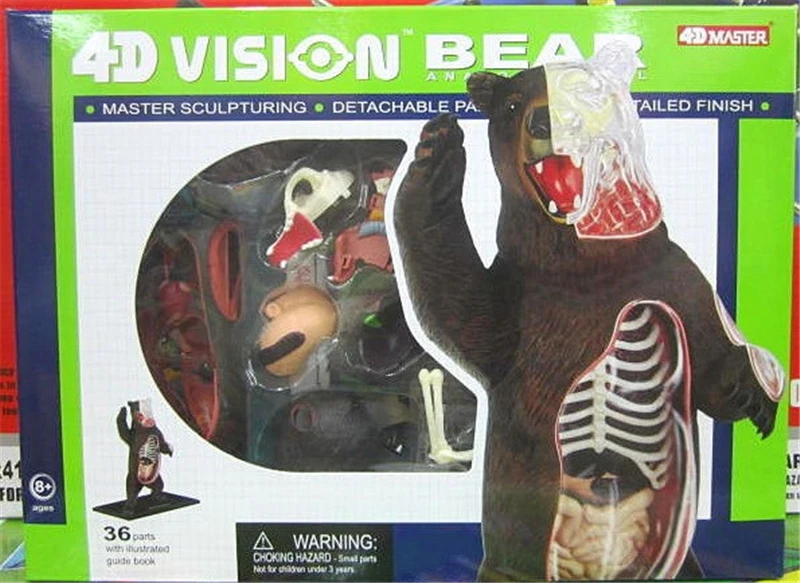 Black bear 4d master puzzle Assembling toy Animal Biology organ anatomical model medical teaching model
Black bear 4d master puzzle Assembling toy Animal Biology organ anatomical model medical teaching model