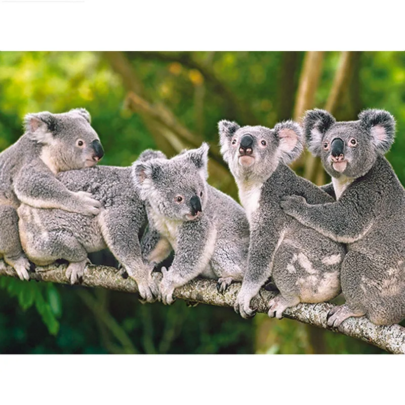5D DIY Diamond painting cute Koala Full square/Round Diamond embroidery Cross Stitch Rhinestone Mosaic decoration NX
5D DIY Diamond painting cute Koala Full square/Round Diamond embroidery Cross Stitch Rhinestone Mosaic decoration NX