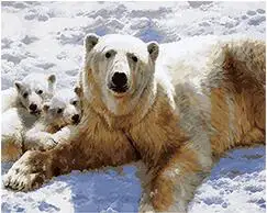 Cioioil-T058 белые медведи в снегу окраски по номерам животных краски холст настенные
