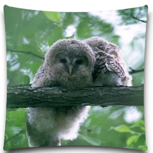 Looking down on a lovely Owl 2D print creative Pillow case Square cotton polyester cushion cover 5 size 9 style
Looking down on a lovely Owl 2D print creative Pillow case Square cotton polyester cushion cover 5 size 9 style