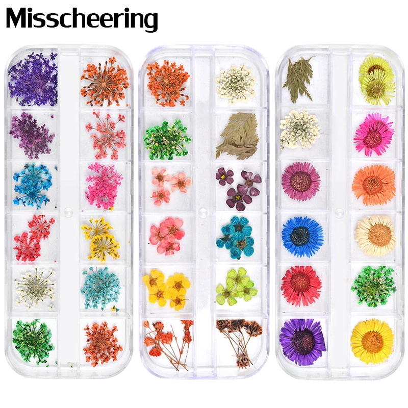 12 Colors Dried Flowers Nail Art Decorations 3d Natural Daisy Gypsophila Preserved Dry Flower DIY Stickers Manicure Accessories
12 Colors Dried Flowers Nail Art Decorations 3d Natural Daisy Gypsophila Preserved Dry Flower DIY Stickers Manicure Accessories