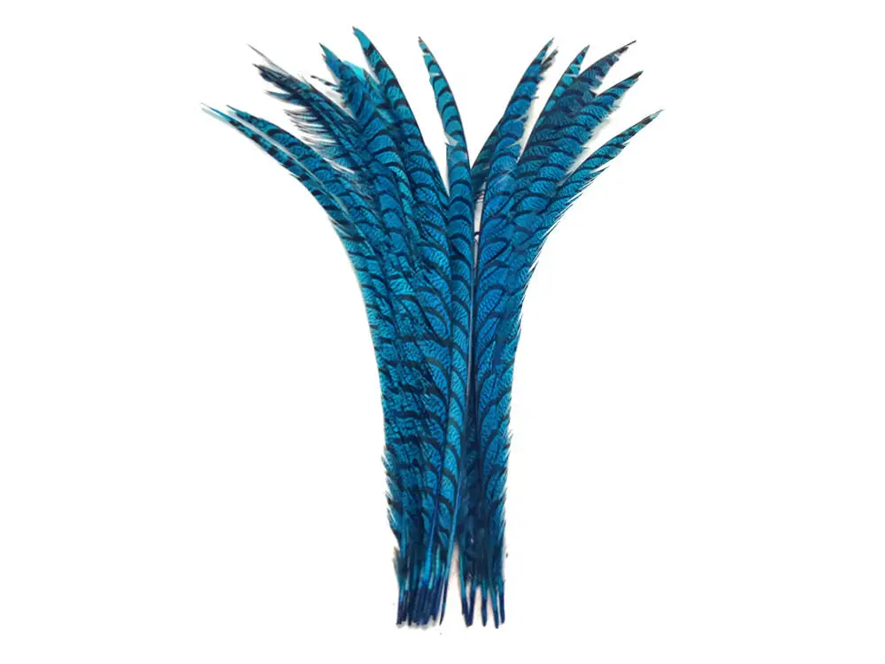 Factory 5pcs/lot Large Size 80-90cm(30-35inch) Exporting Quality Natural Lady Amherst Pheasant Feathers apple green
Factory 5pcs/lot Large Size 80-90cm(30-35inch) Exporting Quality Natural Lady Amherst Pheasant Feathers apple green