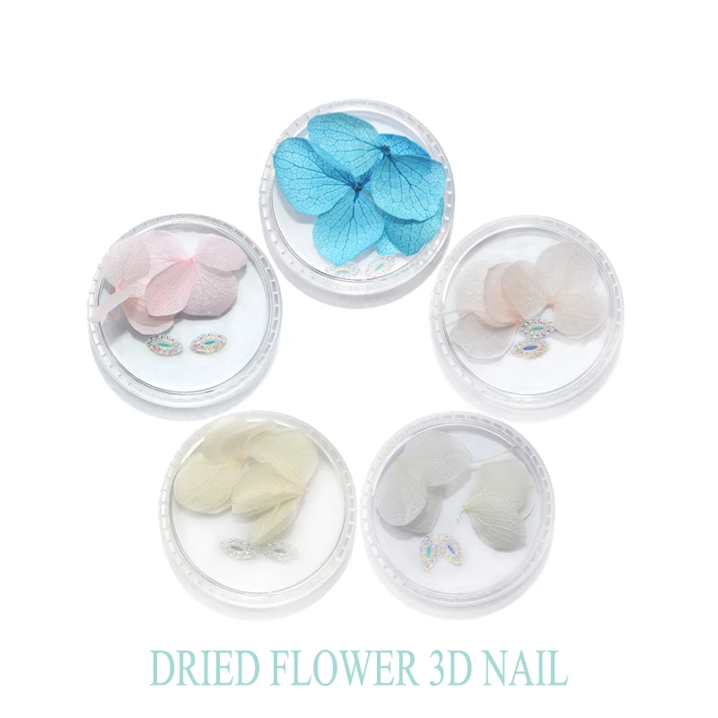 WUF 3Pcs flowers&2Pcs drills/Box Colorful Dry Flower 3D Nail Decoration Preserved Flower Nails Nail Art Decoration
WUF 3Pcs flowers&2Pcs drills/Box Colorful Dry Flower 3D Nail Decoration Preserved Flower Nails Nail Art Decoration