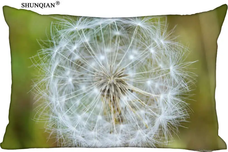 Hot Nice Dandelion Rectangle Pillowcase zipper Wedding Custom Pillow Case For Bedroom Pillow Cover 612
Hot Nice Dandelion Rectangle Pillowcase zipper Wedding Custom Pillow Case For Bedroom Pillow Cover 612