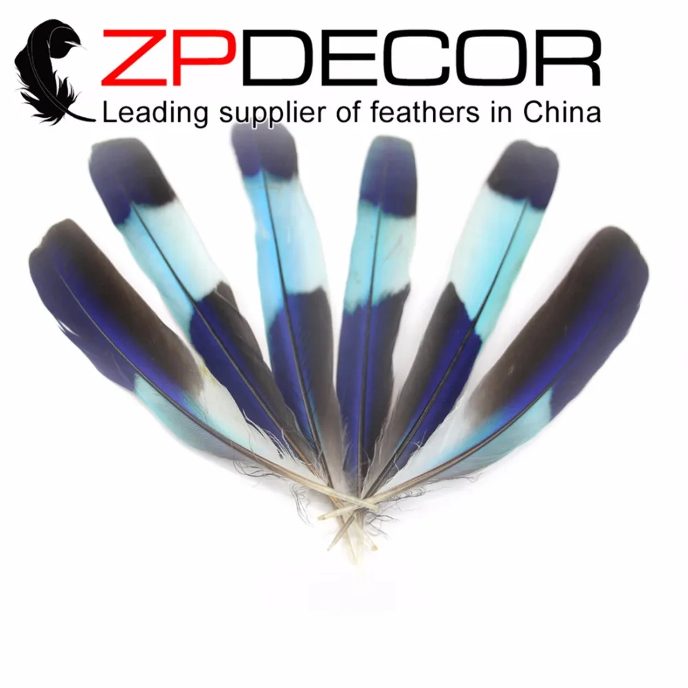 ZPDECOR 10-15cm(4-6inch) 50 pieces/lot Beautiful Pattern Rare Natural Alcedo Feathers Wing Feathers for Costume Decor Feathers
ZPDECOR 10-15cm(4-6inch) 50 pieces/lot Beautiful Pattern Rare Natural Alcedo Feathers Wing Feathers for Costume Decor Feathers