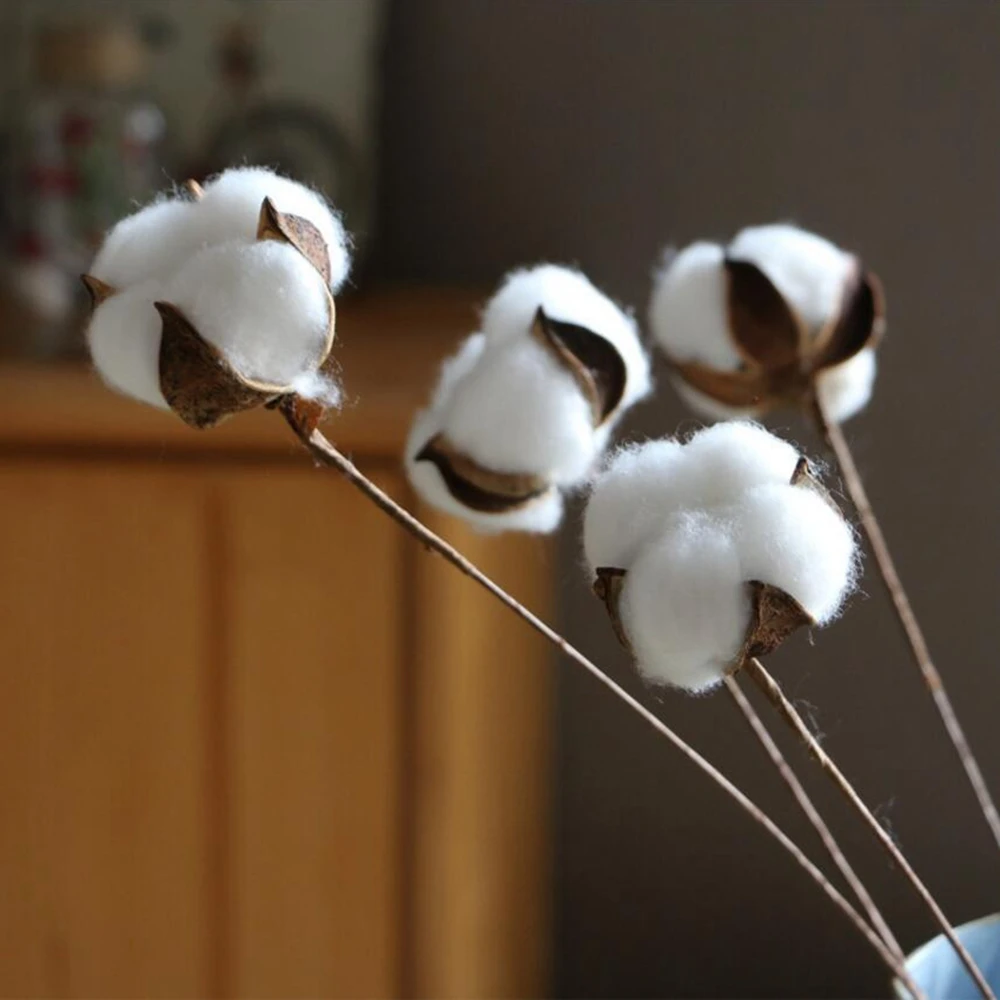 1 шт., искусственный цветок, натуральный букет из хлопка, в стиле кантри, украшение для свадьбы и Рождества, домашний декор «сделай сам», одна хлопковая головка
1 шт., искусственный цветок, натуральный букет из хлопка, в стиле кантри, украшение для свадьбы и Рождества, домашний декор «сделай сам», одна хлопковая головка