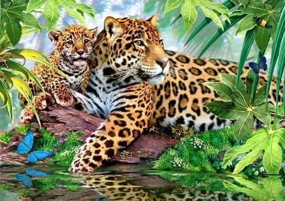 5D DIY Diamond Painting leopard Painting Set Cross Stitch Full Diamond Embroidery Home Needlework Scenic Forest mosaic Kits
5D DIY Diamond Painting leopard Painting Set Cross Stitch Full Diamond Embroidery Home Needlework Scenic Forest mosaic Kits