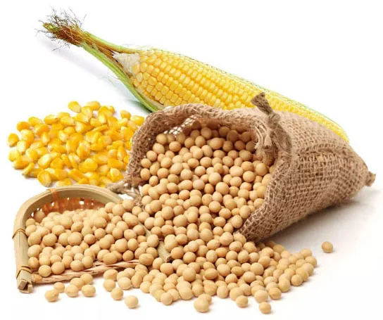 Pure Natural 100g Plant Soya Bean & Corn Mixed Powder/Soybeans Corn Meal Powder Face Film Materials
Pure Natural 100g Plant Soya Bean & Corn Mixed Powder/Soybeans Corn Meal Powder Face Film Materials