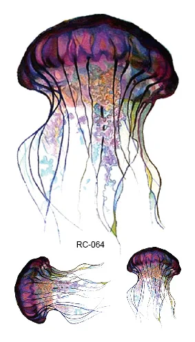 Rocooart RC-064 Fashion Temporary Tattoo Stickers Body Art Jellyfish Colorful Flash Taty Tattoo Water Transfer tatuaje Taty
Rocooart RC-064 Fashion Temporary Tattoo Stickers Body Art Jellyfish Colorful Flash Taty Tattoo Water Transfer tatuaje Taty