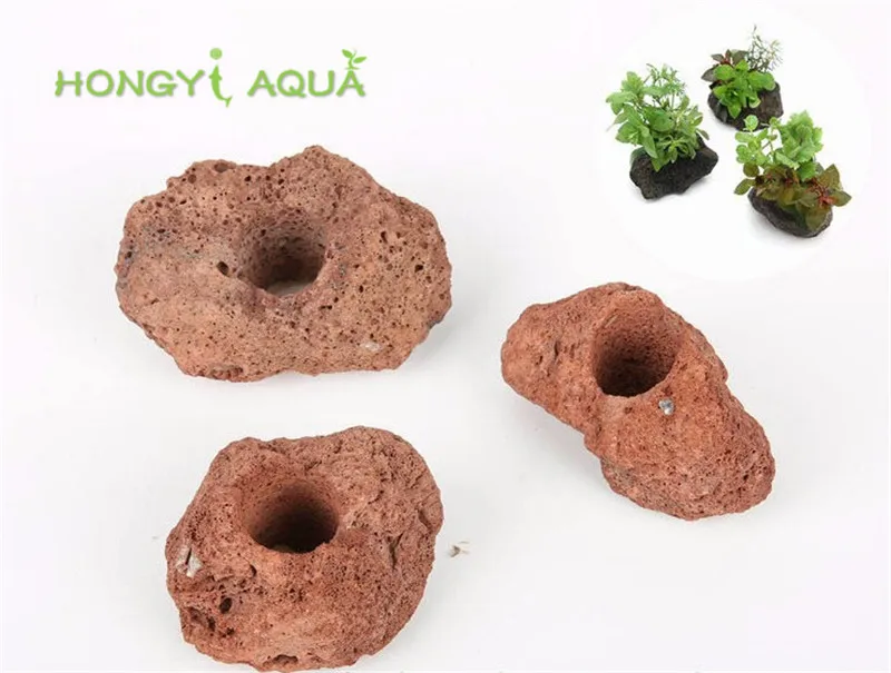 3 pieces/lot rock open hole volcanic rock stone moss water plant grow fix fish tank aquarium landscapes aquaculture red and gray
3 pieces/lot rock open hole volcanic rock stone moss water plant grow fix fish tank aquarium landscapes aquaculture red and gray