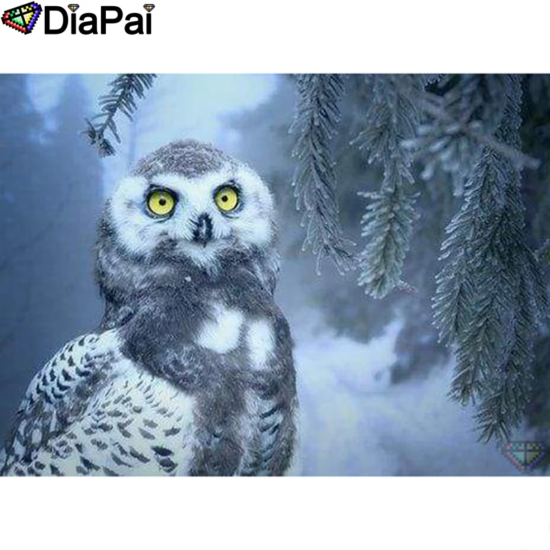 DIAPAI Diamond Painting 5D DIY 100% Full Square/Round Drill "Animal owl" Diamond Embroidery Cross Stitch 3D Decor A24290
DIAPAI Diamond Painting 5D DIY 100% Full Square/Round Drill "Animal owl" Diamond Embroidery Cross Stitch 3D Decor A24290