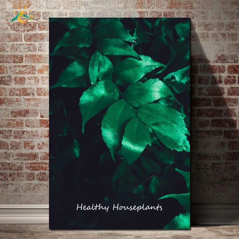 Healthy House Plant Nordic Poster Wall Art Canvas Art Prints Painting Pop Art Pictures Wall Posters and Prints for Living Room
Healthy House Plant Nordic Poster Wall Art Canvas Art Prints Painting Pop Art Pictures Wall Posters and Prints for Living Room