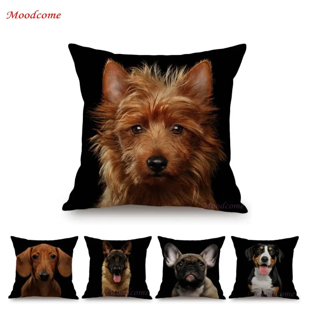 Black Background Dog Puppy Portrait Vizsla Husky Shepherd Shibu Cute Sofa Pillow Case Home Decorative Cotton Linen Cushion Cover
Black Background Dog Puppy Portrait Vizsla Husky Shepherd Shibu Cute Sofa Pillow Case Home Decorative Cotton Linen Cushion Cover