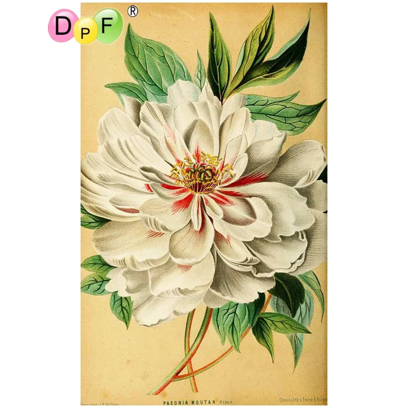 DPF сделай сам подарок 5D полная круглая алмазная живопись белый цветок элегантная Алмазная вышивка магический куб Вышивка крестом ремесла М...
DPF сделай сам подарок 5D полная круглая алмазная живопись белый цветок элегантная Алмазная вышивка магический куб Вышивка крестом ремесла М...