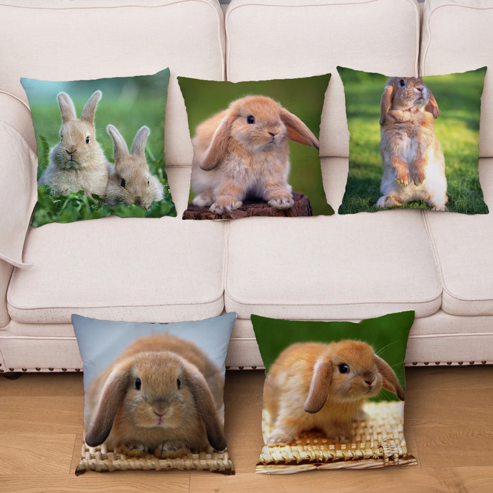 Short Plush Cute Holland Lop Rabbit Cushion Cover Pillow Covers Print Pillows Cases for Sofa Home Decor Pet Animal Pillowcase
Short Plush Cute Holland Lop Rabbit Cushion Cover Pillow Covers Print Pillows Cases for Sofa Home Decor Pet Animal Pillowcase