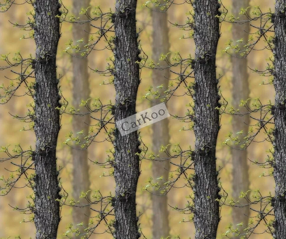 Камуфляж Виниловые Обертывания Листы в Realtree, бионический камуфляж шаблон для автомобиля обертывание Стайлинг автомобиля стикер тела Беспл...
Камуфляж Виниловые Обертывания Листы в Realtree, бионический камуфляж шаблон для автомобиля обертывание Стайлинг автомобиля стикер тела Беспл...