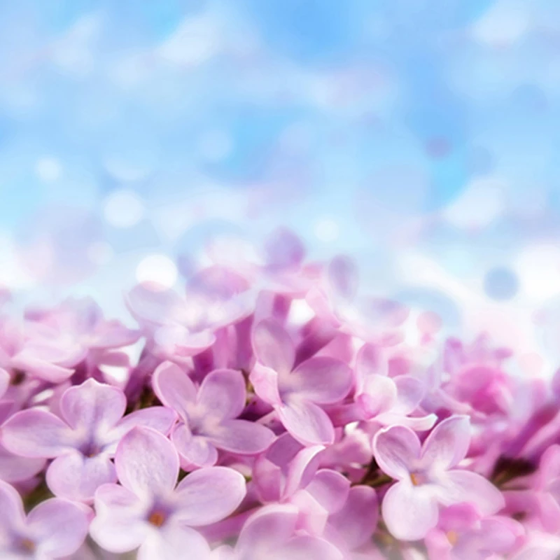

Lilac Flowers Baby Newborn Photography Backdrops Dreamlike Children Birthday Backgrounds for Photo Studio 150CM*200CM