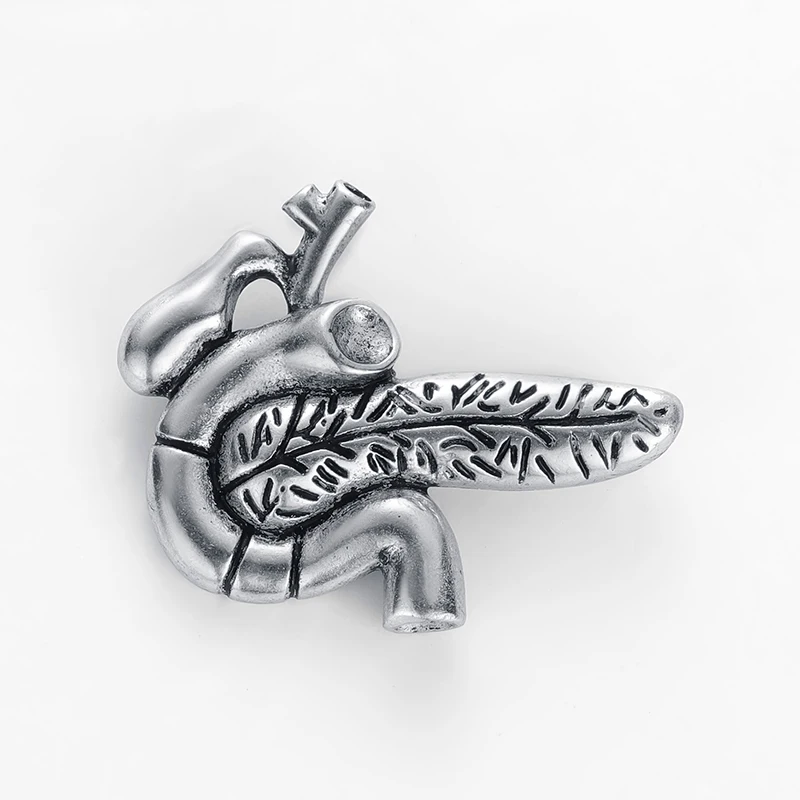 Best Pancreas Pin Badge Anatomy Medical Doctors Nurse Gift Gold Color Lapel Pin Metal An Exquisite Brooch Classic Jewelry Women
Best Pancreas Pin Badge Anatomy Medical Doctors Nurse Gift Gold Color Lapel Pin Metal An Exquisite Brooch Classic Jewelry Women