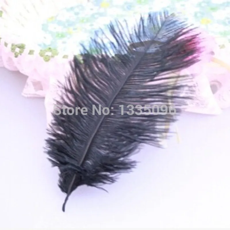 100 / lot, 6-8 inches 15-20 cm, black ostrich feathers wedding decorations, wholesale price!
100 / lot, 6-8 inches 15-20 cm, black ostrich feathers wedding decorations, wholesale price!