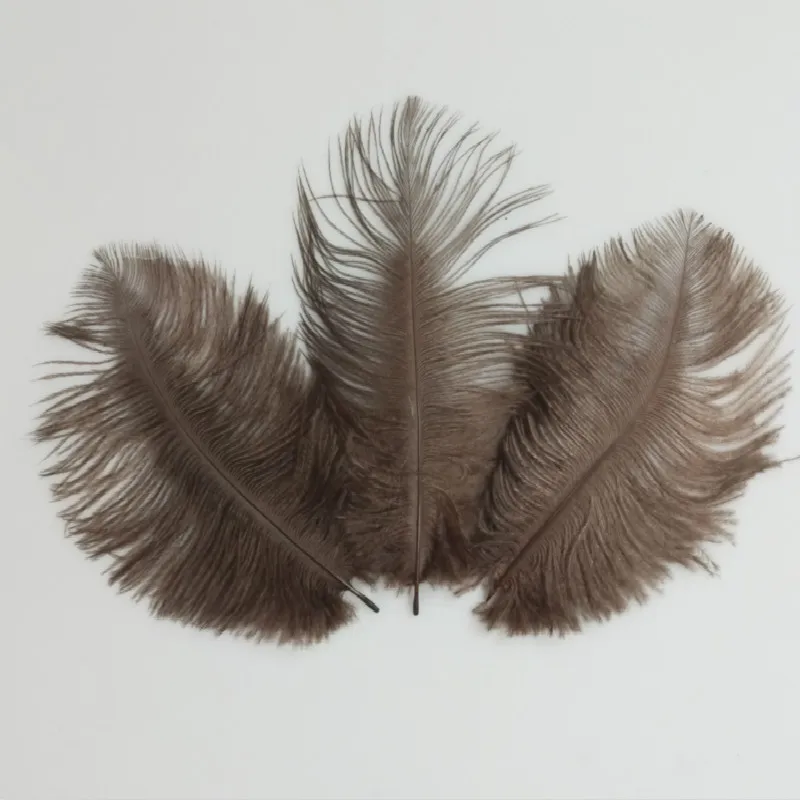 Brand new 50pcs beautiful High Quality coffee ostrich feathers 6-8 inches/15-20 cm for Party/wedding Decoration
Brand new 50pcs beautiful High Quality coffee ostrich feathers 6-8 inches/15-20 cm for Party/wedding Decoration