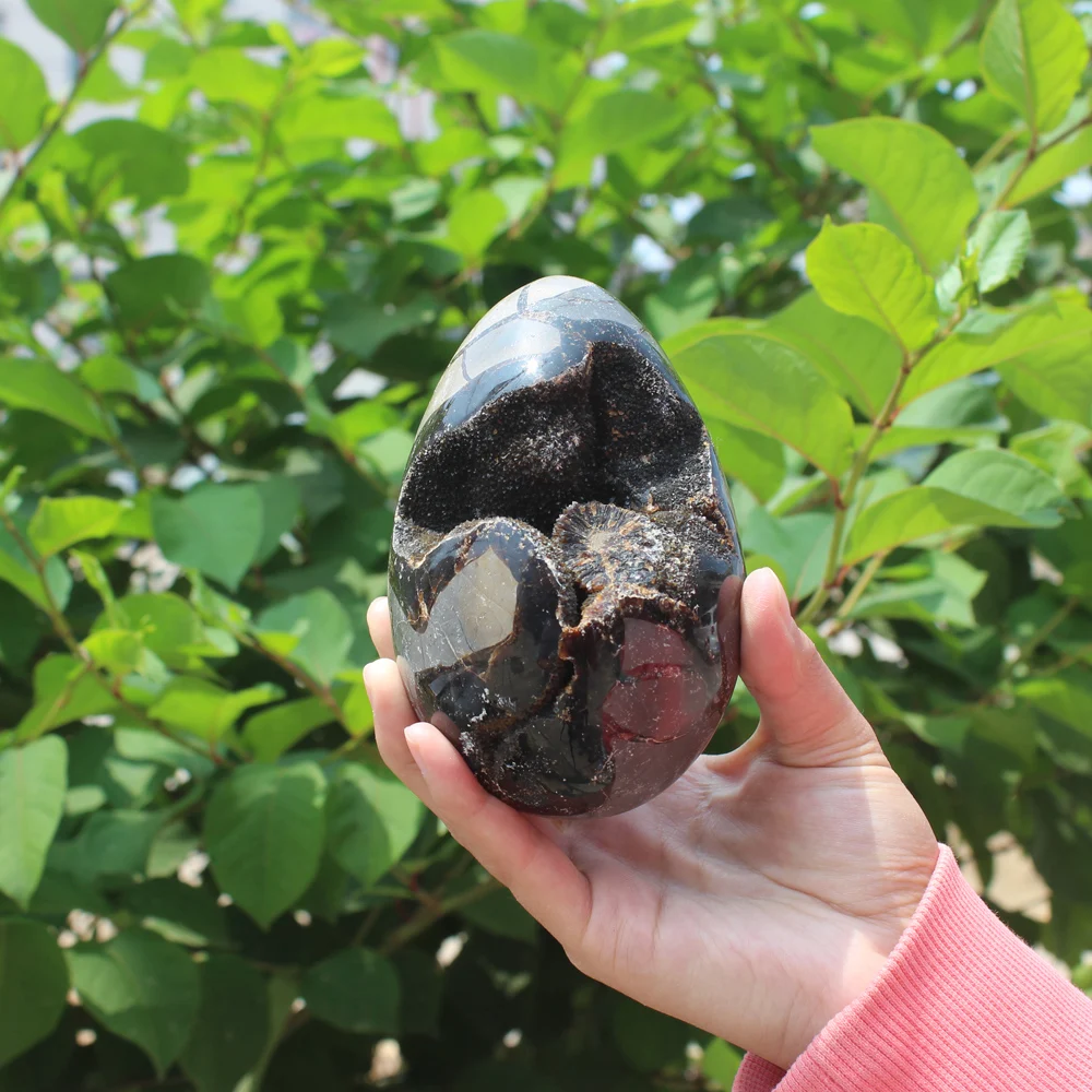 950g Natural curvature of the furnishing articles Turtle grain stone egg Ball Septarian nodule Crystal Healing quartz 55
950g Natural curvature of the furnishing articles Turtle grain stone egg Ball Septarian nodule Crystal Healing quartz 55