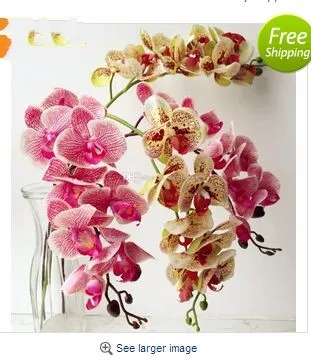 Orchids Simulation Real Touch Butterfly Phalaenopsis Orchid Artificial Flowers For Wedding Centerpieces Decoration
Orchids Simulation Real Touch Butterfly Phalaenopsis Orchid Artificial Flowers For Wedding Centerpieces Decoration