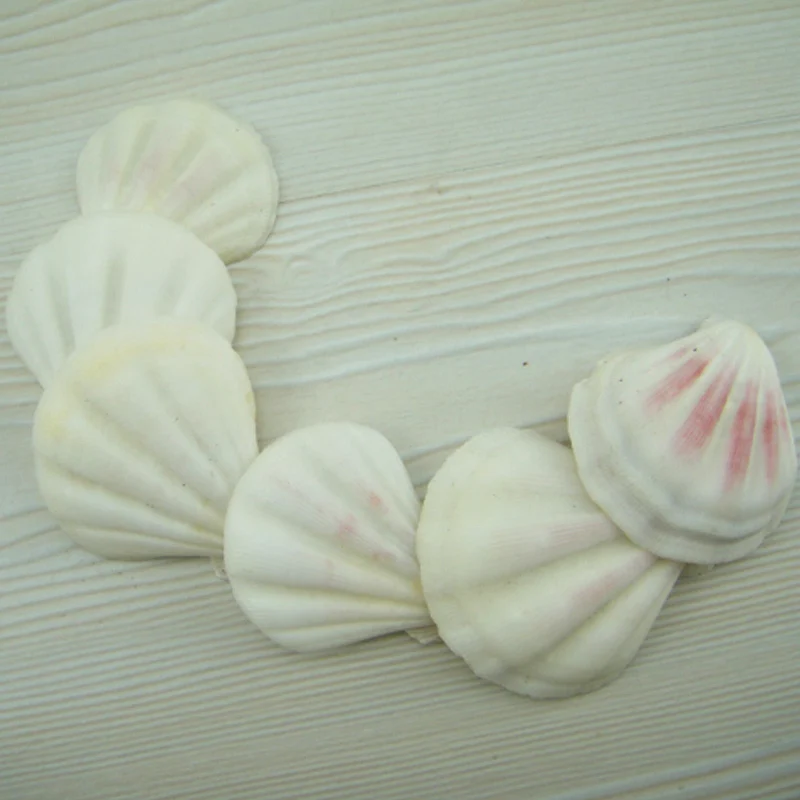 HappyKiss 50pcs/lot White scallop natural shell diy home aquarium fish tank decoration wall stickers
HappyKiss 50pcs/lot White scallop natural shell diy home aquarium fish tank decoration wall stickers
