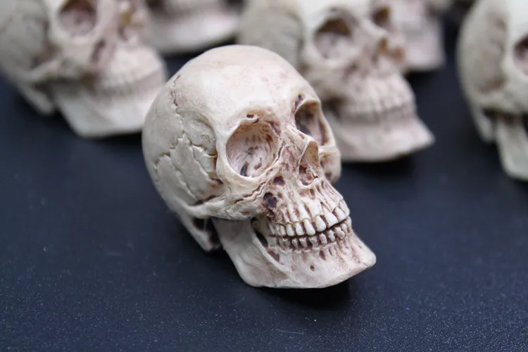 1/6 scale decoration skull head horriable horrifying terriable model action figure accessories for 12 inches figure toy
1/6 scale decoration skull head horriable horrifying terriable model action figure accessories for 12 inches figure toy