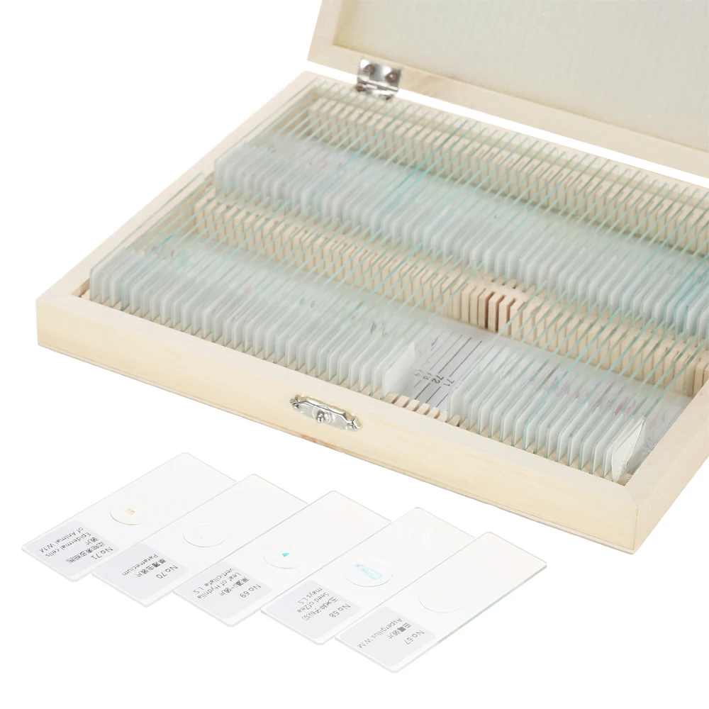 Biology 25/100 pieces prepared glass microscope slide school and laboratory with Chinese English label teaching samples
Biology 25/100 pieces prepared glass microscope slide school and laboratory with Chinese English label teaching samples