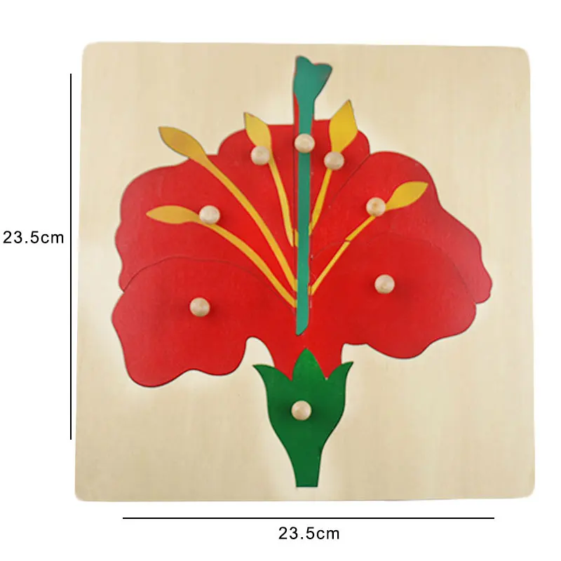 Wooden Toys Montessori Materials Montessori Toys Flower Puzzle Montessori Materials Preschool Wooden Toys for children C546Z
Wooden Toys Montessori Materials Montessori Toys Flower Puzzle Montessori Materials Preschool Wooden Toys for children C546Z