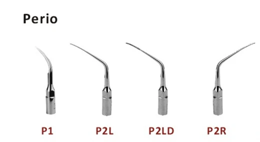 EMS,Woodpecker,DTE SATELEC Tip for Dental Periodontics,PD1,PD2L,PD2LD,PD2R,dental Clinic Material,10Pcs/Pack
EMS,Woodpecker,DTE SATELEC Tip for Dental Periodontics,PD1,PD2L,PD2LD,PD2R,dental Clinic Material,10Pcs/Pack